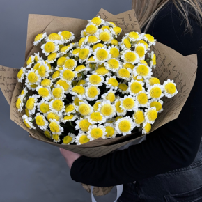Букет "Моё солнышко" из 11 хризантем сантини  в Лобне