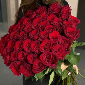 Букет 51 роза Эквадор Эксплорер (70 см) в Лобне