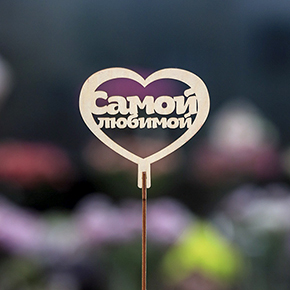 Топпер Самой Любимой в Лобне