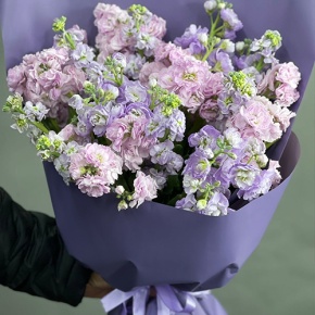 Букет из 15 ароматных маттиол микс в Лобне