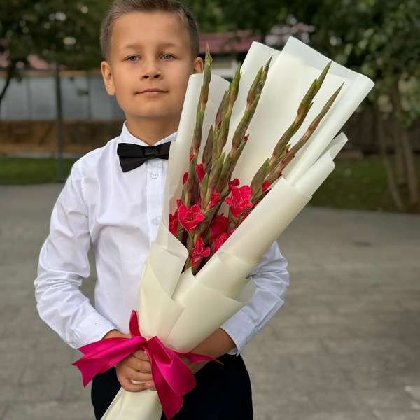 Букет на 1 сентября из 7 малиновых гладиолусов в Лобне