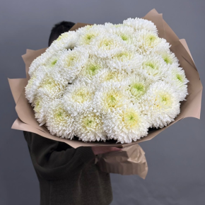 Букет из 27 хризантем Магнум в Лобне