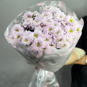 Букет "Нежный комплимент" из 9 кустовых хризантем в Лобне