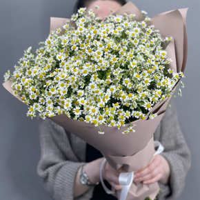 Букет из 17 полевых ромашек в Лобне