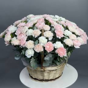 Композиция в корзине из 101 диантуса микс в Лобне