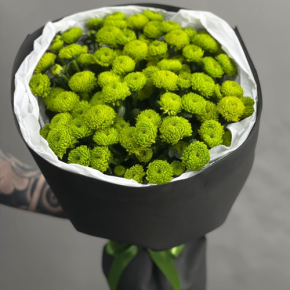 Стильный букет "Лайм" из 15 хризантем сантини в Лобне