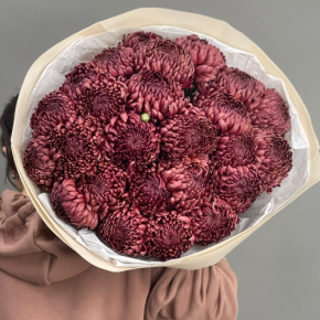 Букет 21 шоколадной хризантемы Бигоуди в Лобне