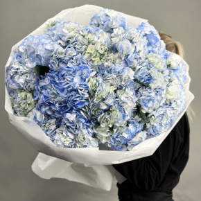 Букет из 23 синих гортензий в Лобне