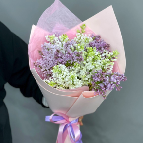 Букет из 11 веток сирени микс в Лобне
