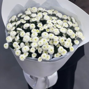 Букет "Белая дымка" из 25 хризантем сантини в Лобне