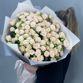 Букет из 25 кремовых кустовых роз (70 см) в Лобне