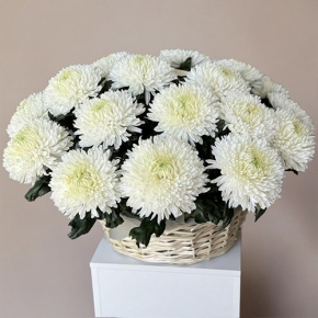 Композиция в корзине из 25 хризантем Магнум в Лобне