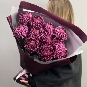 Букет "Изобилие" из 11 винных хризантем Бигоуди в Лобне