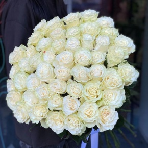 Букет из 51 розы Эквадор Мондиаль под ленту (80 см) в Лобне