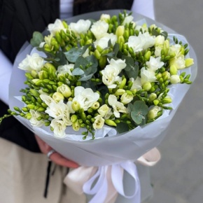 Букет из 51 белой фрезии в Лобне