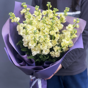 Букет из 15 лимонных маттиол в Лобне