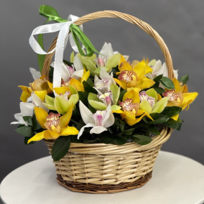 Композиция в корзине из 25 орхидей микс в Лобне