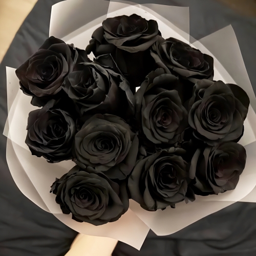 Букет "Черная королева" из 11 черных роз Эквадор (60 см) в Лобне