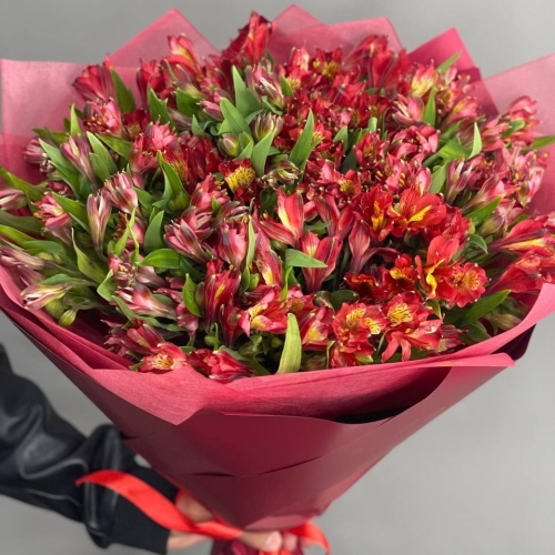 Монобукет из 25 красных альстромерий в Лобне