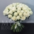 Букет 75 белых роз Эквадор Мондиаль (80 см) в Лобне