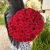 Букет 51 красной розы 50 см в Лобне Букет 51 красной розы 50 см в Лобне