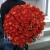 Букет 101 коралловая роза (60 см) в Лобне