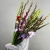 Букет из 25 гладиолусов микс в Лобне