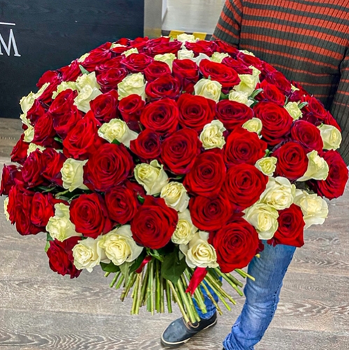 Букет 151 роза красный и белый микс (60 см) в Лобне