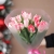 Букет "Фламинго" из 11 пионовидных тюльпанов в Лобне
