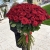 Букет из 101 красной розы (90 см) в Лобне
