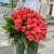 Букет 51 роза коралл (60 см) в Лобне