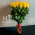 Букет 25 желтых роз эквадор (60 см) в Лобне