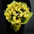 Букет из 13 лимонных орхидей в Лобне Букет из 13 лимонных орхидей в Лобне